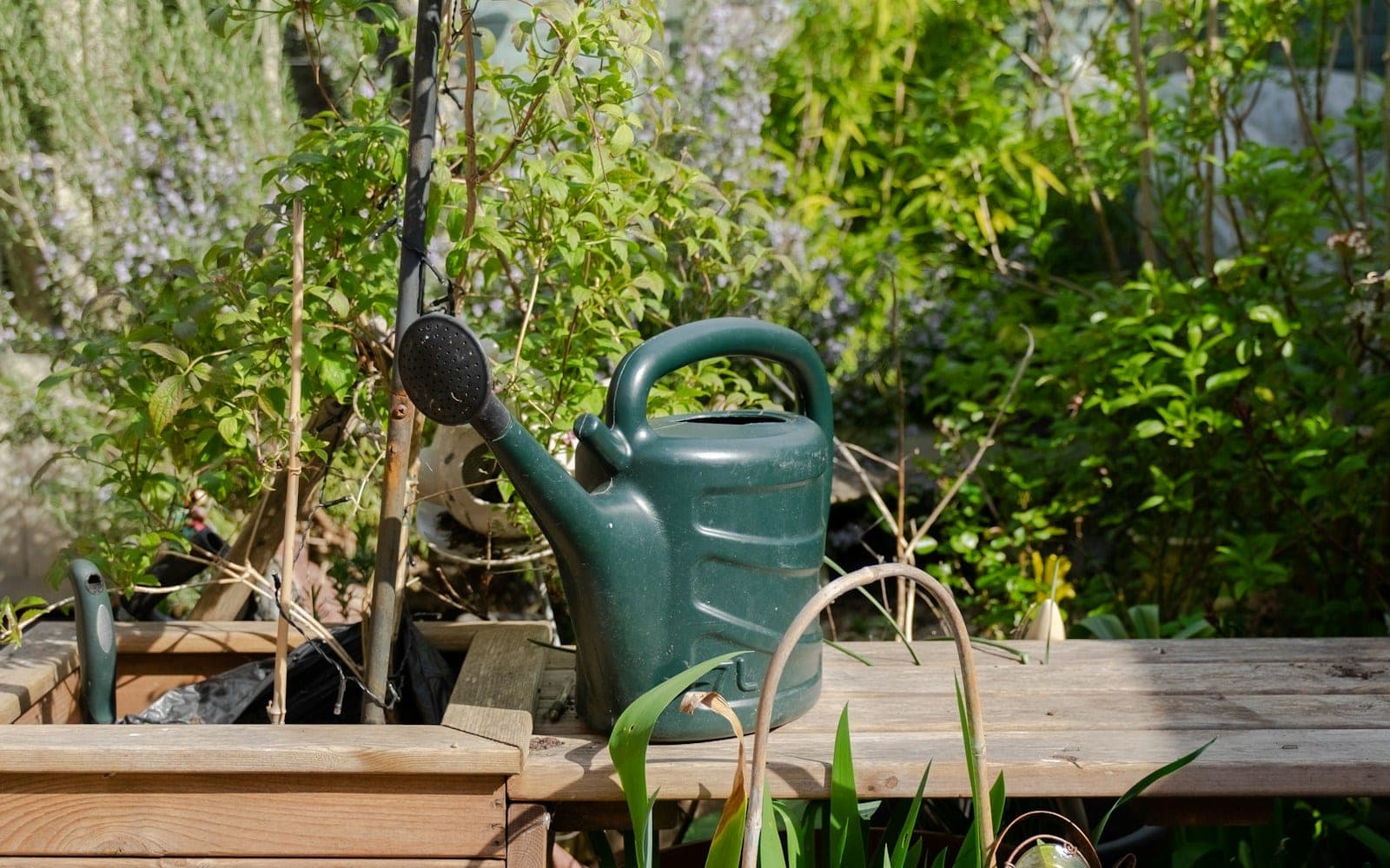 Watering can beside plant pots and small gardening tools.